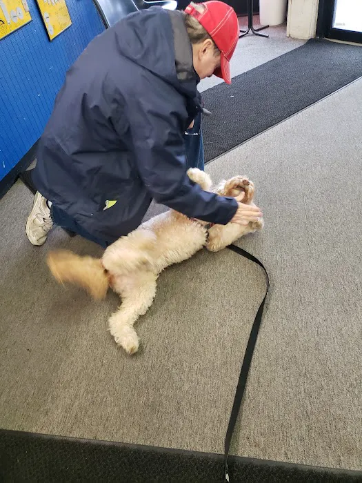 Dexter Locksmith Service, Inc. Picture 7