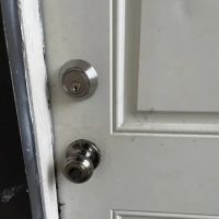 The Professional Locksmith ico