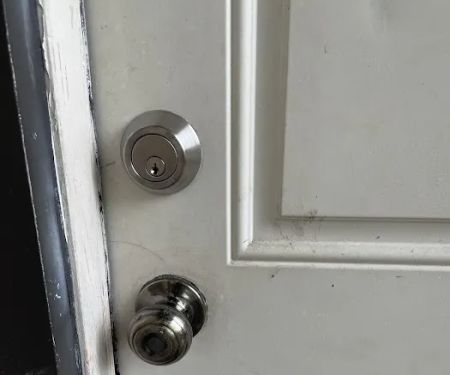 The Professional Locksmith