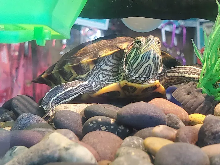 Harold's Lock and Key Service Picture 2