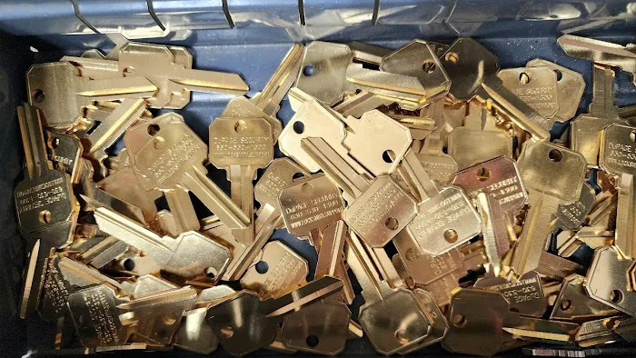 DuPage Security Solutions, Inc. Picture 6