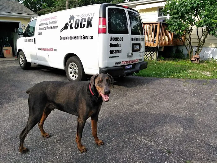 Tri County Lock Picture 8