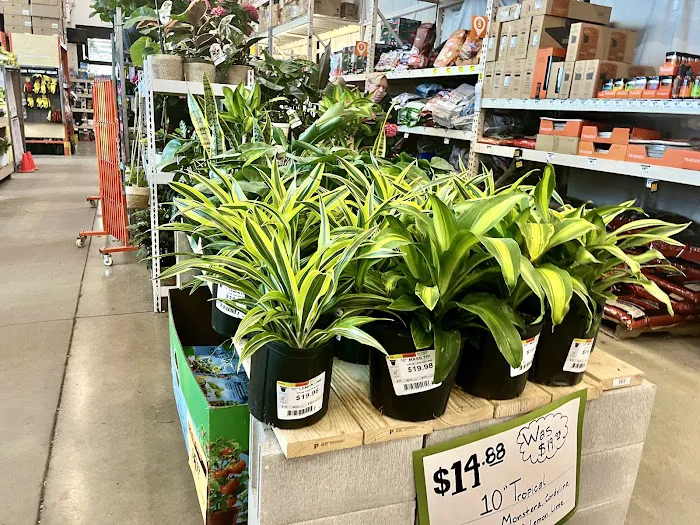 Minute Key Picture 2