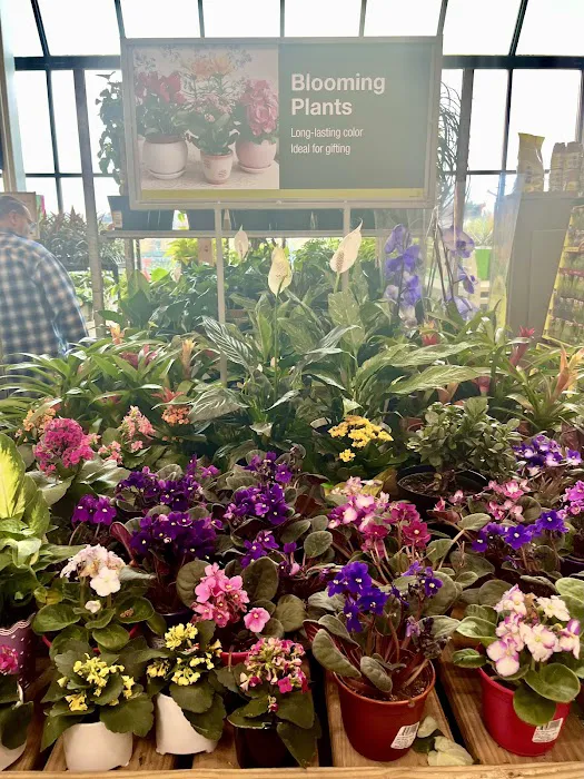 Minute Key Picture 6