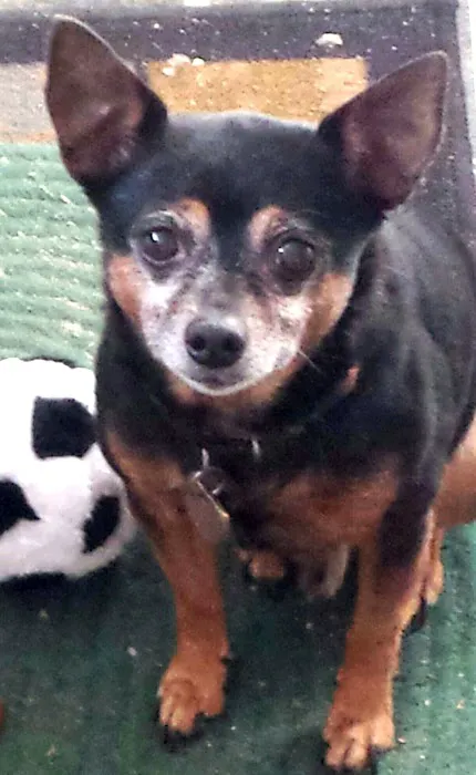 Portage Lock & Key Picture 4