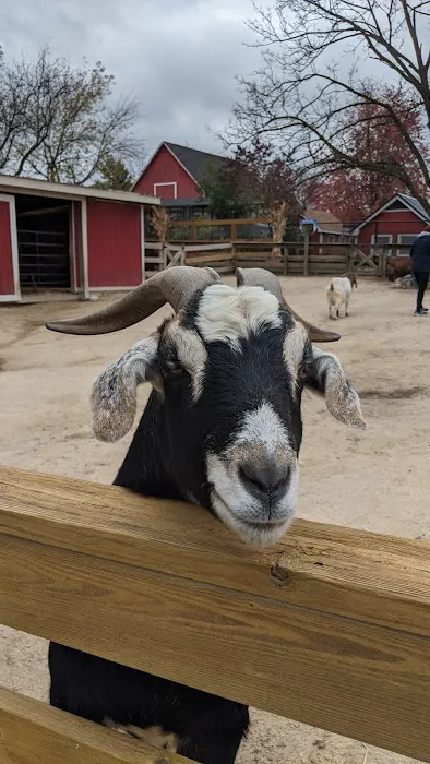 Minute Key Picture 3