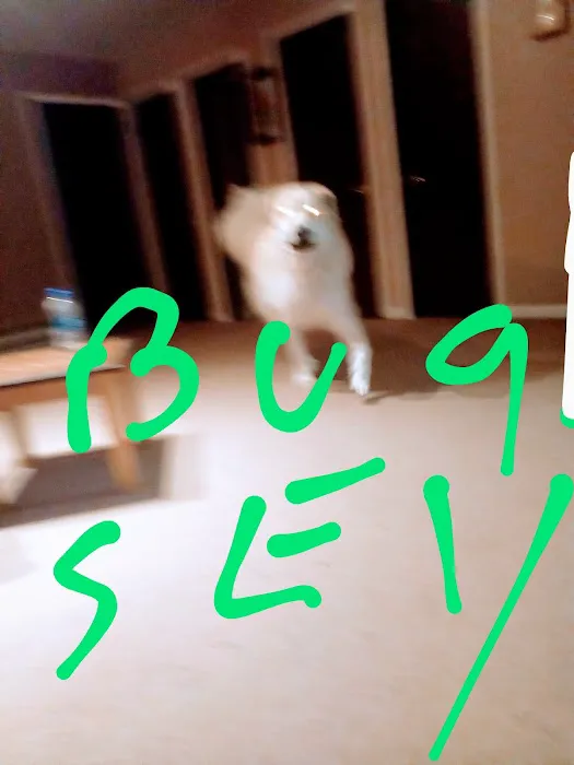 BILL'S lOCK SHOP, INC. Picture 5