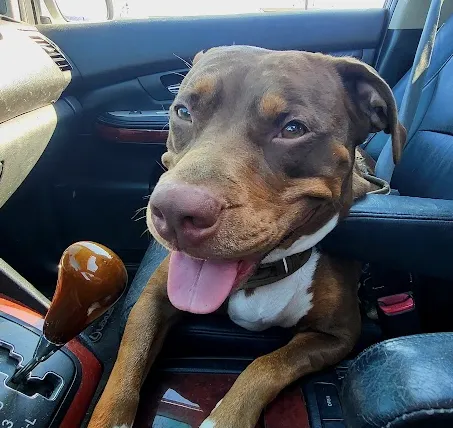 Lee Lock & Key, LLC Picture 4