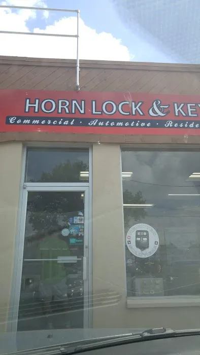 Horn Lock & Key Picture 2
