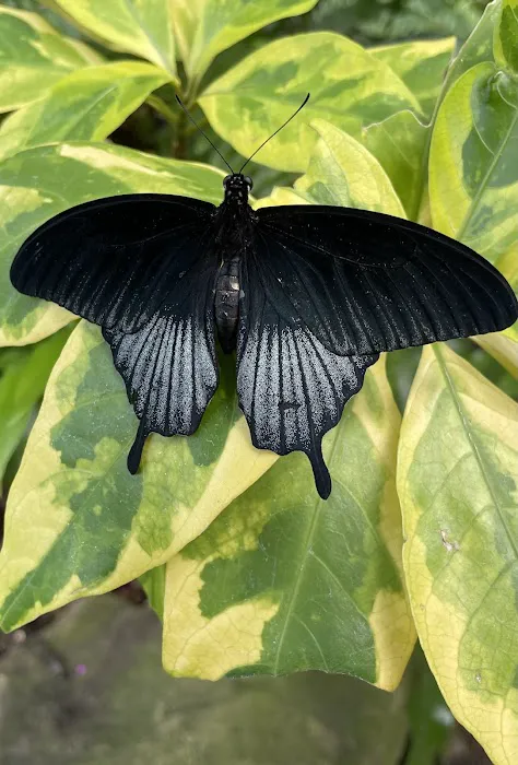 Marks Lock and Safe, LLC Picture 3