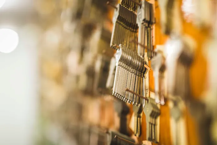 Ionia Lock and Key Picture 6