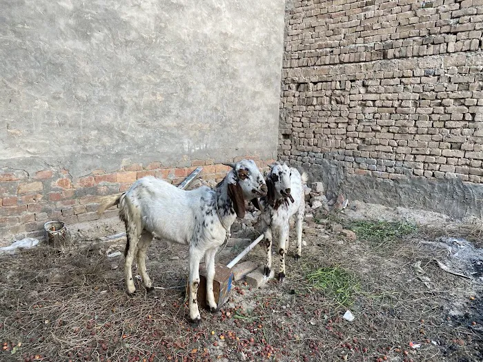 Dayton Ohio Locksmith Picture 6