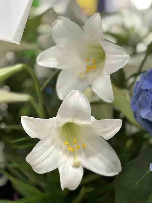 Minute Key Picture 2