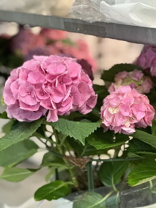 Minute Key Picture 9