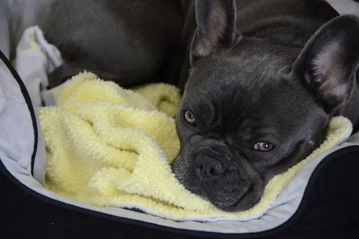 Mr. Lock & Key Picture 6