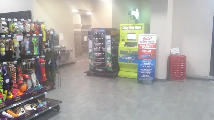 Minute Key Picture 3