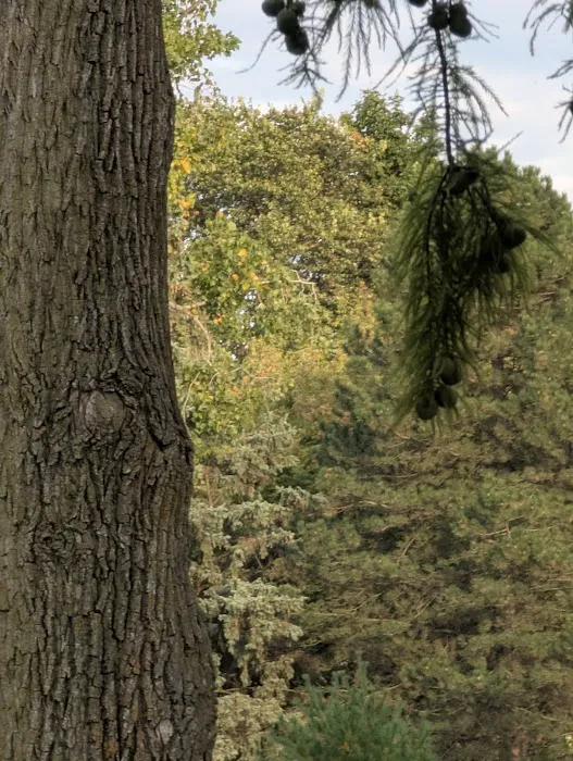 Tota Locksmith Picture 4