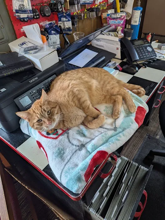 (Buds) The Lock Shop Picture 2