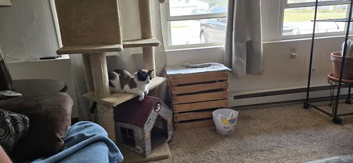 Top Rated Locksmith Picture 9