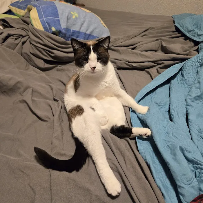 Top Rated Locksmith Picture 5