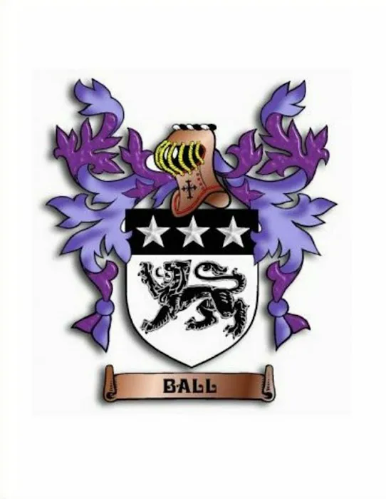 Ball Security & Locksmith Service Picture 8