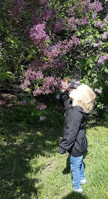 A - Z Lock & Key Mobile Locksmith Service Picture 4