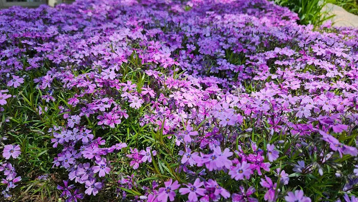 A - Z Lock & Key Mobile Locksmith Service Picture 5