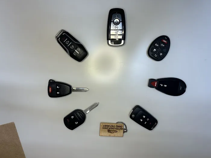 The Auto Lock Doc Picture 3