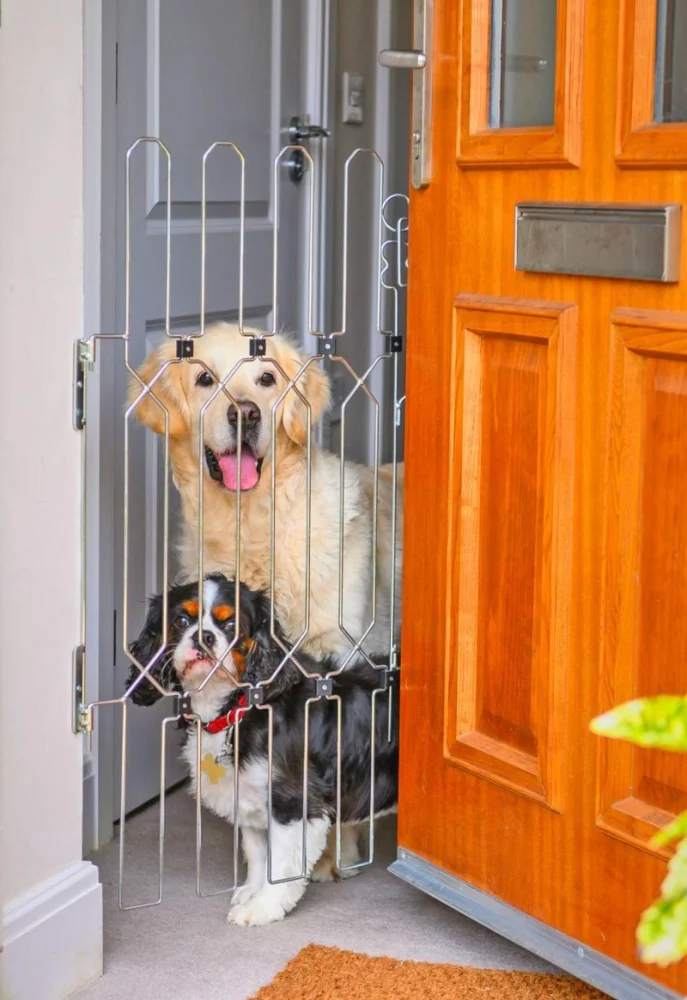 How to Secure Your Dog Kennel: Locksmith Solutions