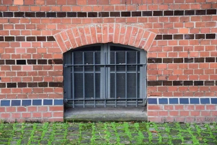 How to Secure Your Basement Windows Against Break-Ins